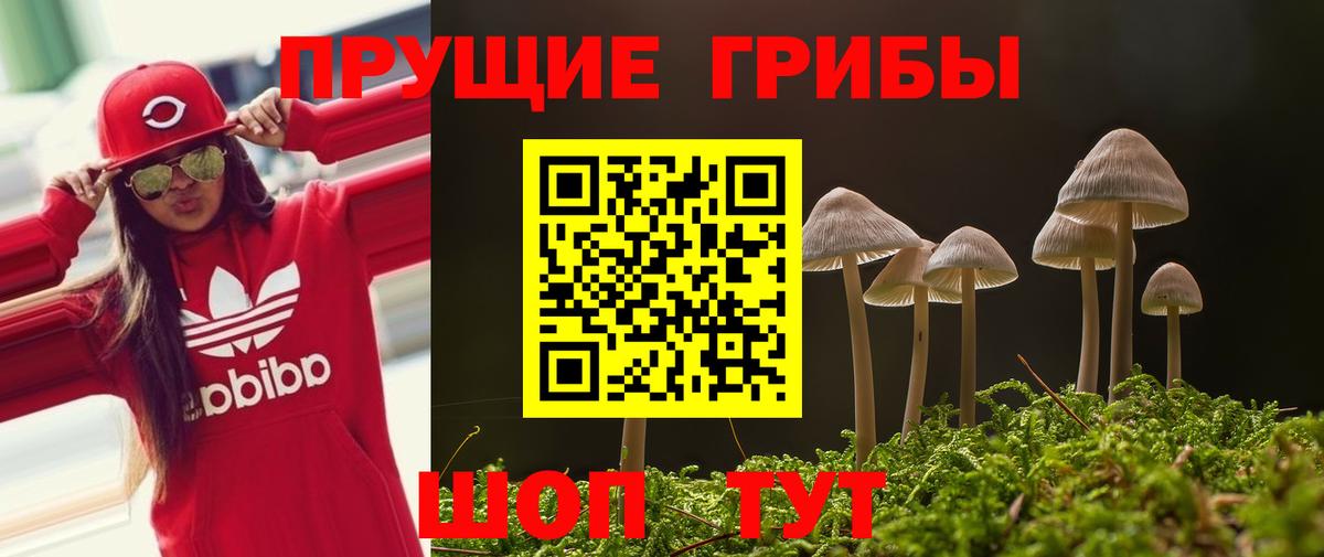 Галлюциногенные грибы GOLDEN TEACHER Урюпинск